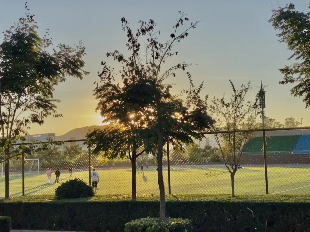 云商 · 美圖 | 溫暖的金色的秋天