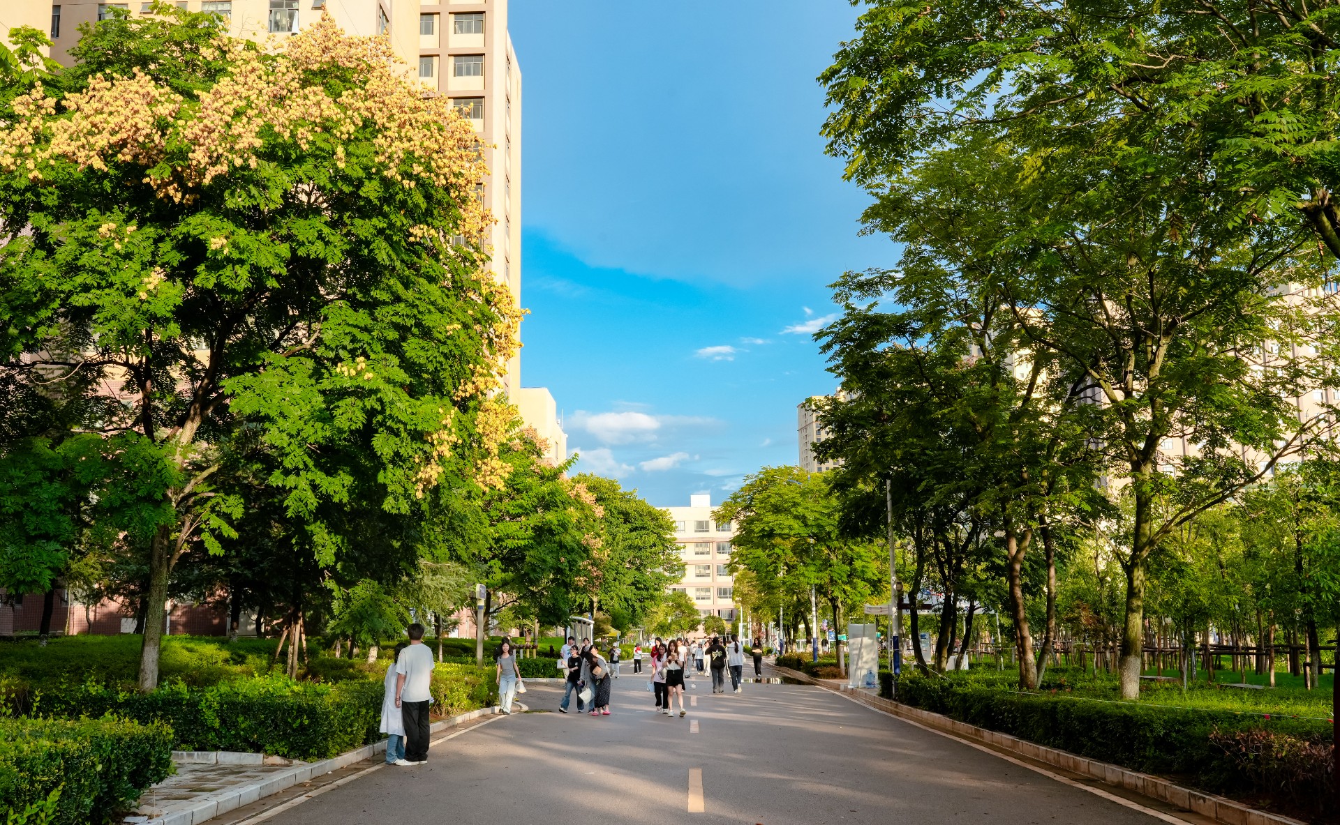 校園風(fēng)光